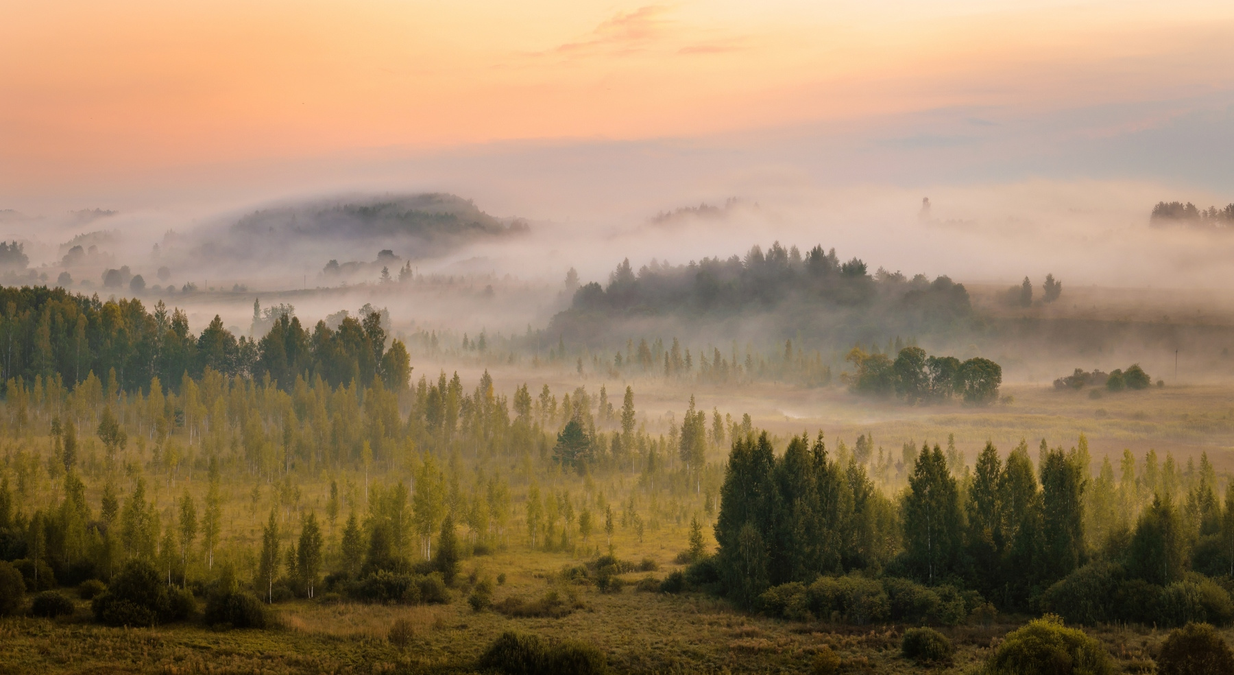 Цунами пейзаж утро псков туман природа лето