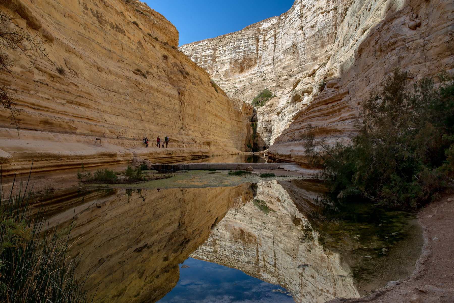 Эйн-Авдат 1 Пейзаж источник озеро каньон горы ущелье Израиль пустыня Негев