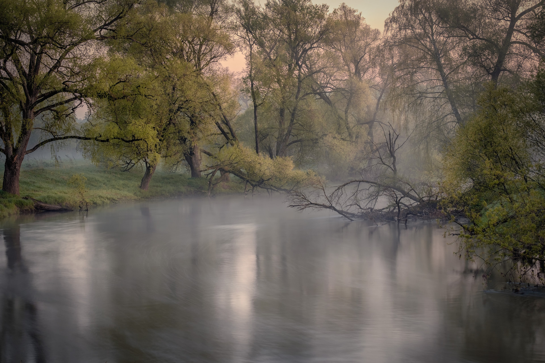 Хранители реки река истра утро деревья зелень поток рассвет вода пейзаж