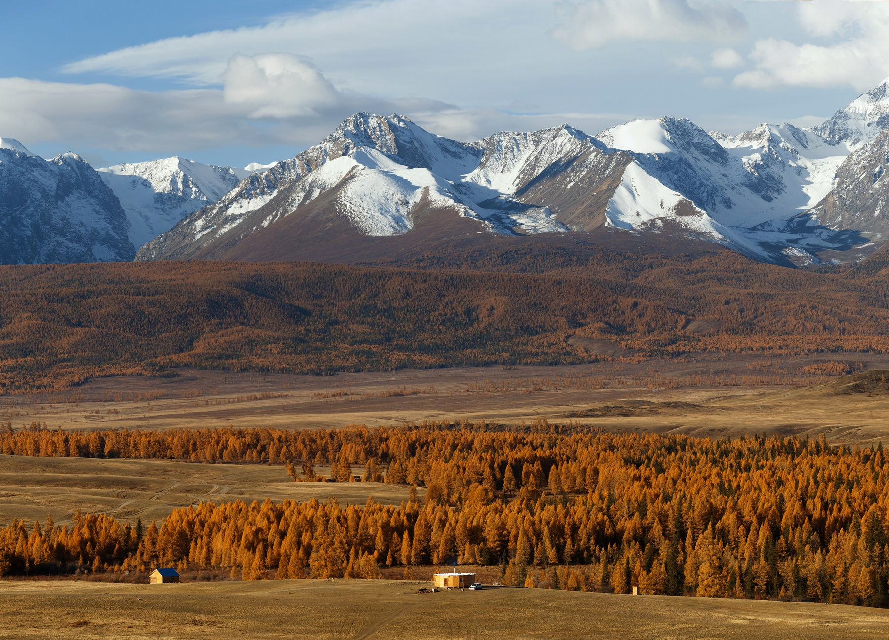 Северо-Чуйский хребет природа горы пейзаж осень лес