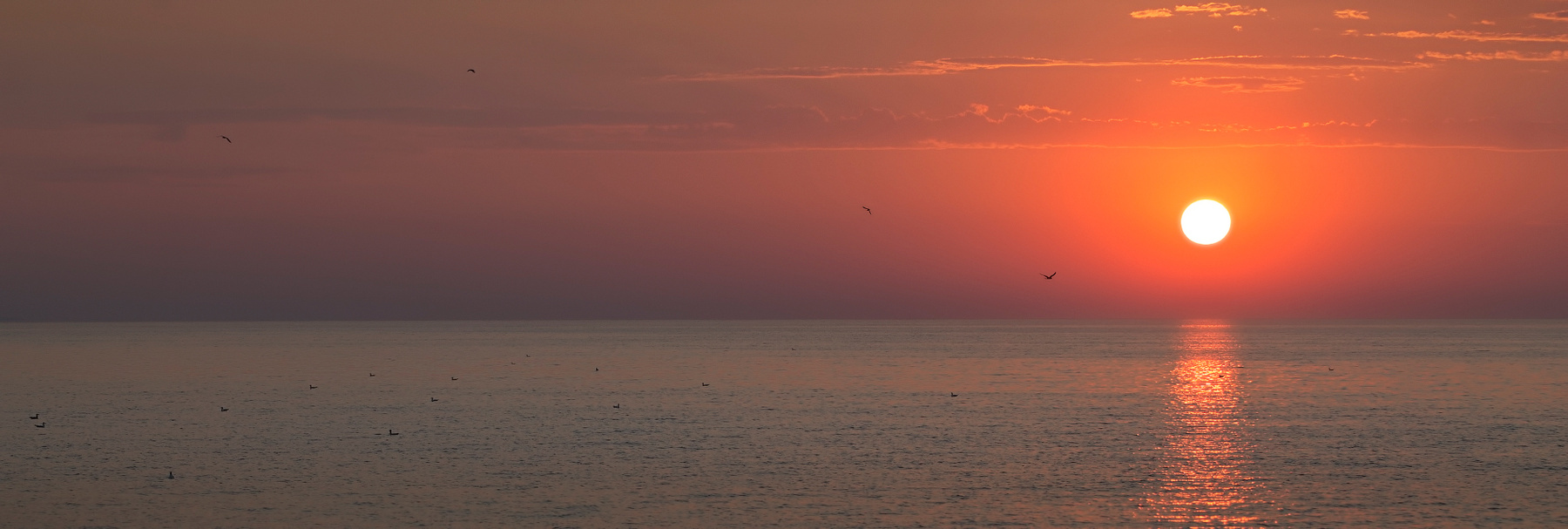 Рассвет и чайки море солнце чайки