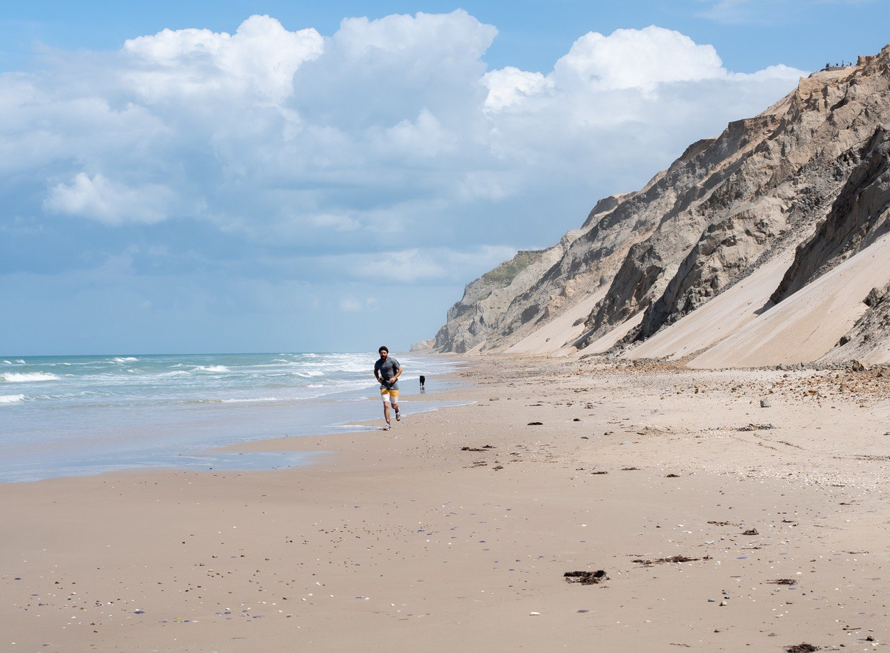 Дания Человек собака природа берег пляж море
