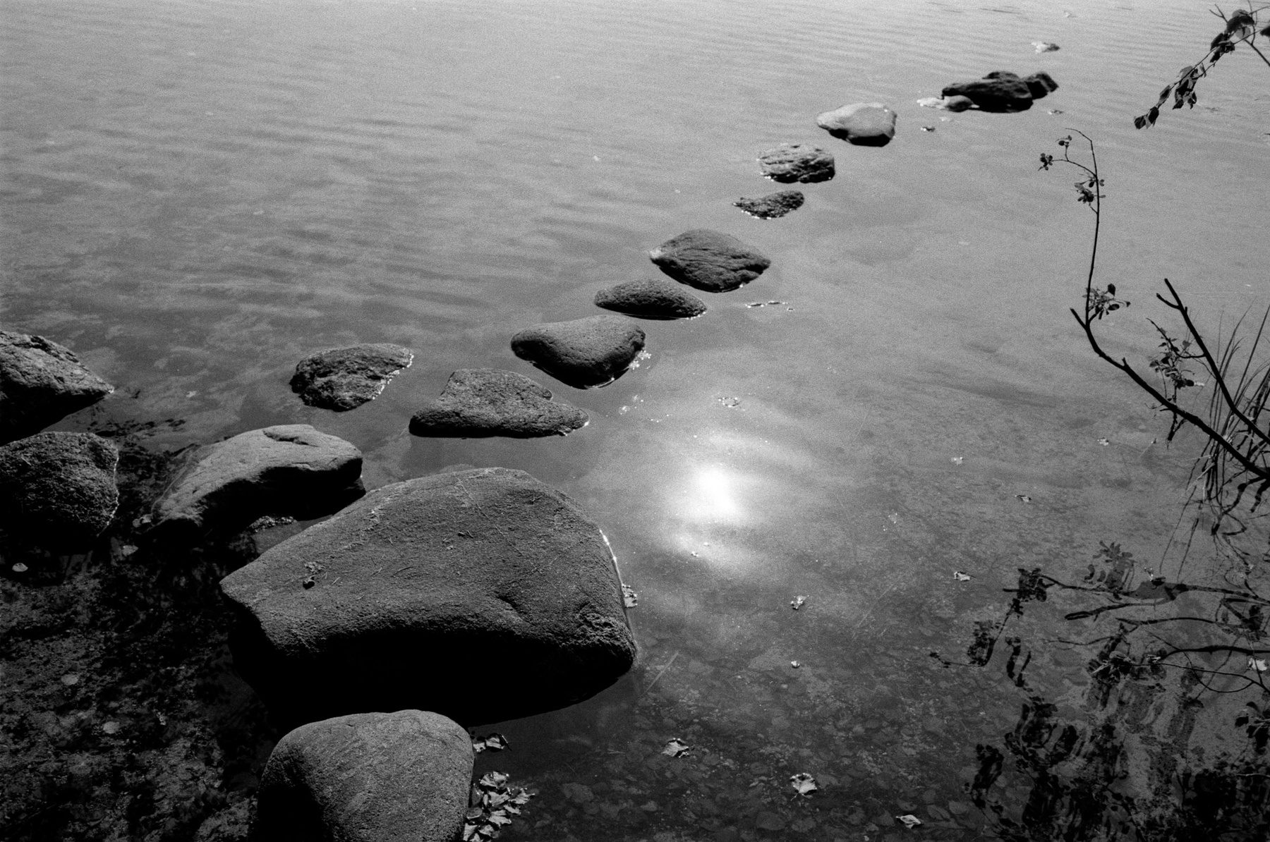 Камни на лесном озере 