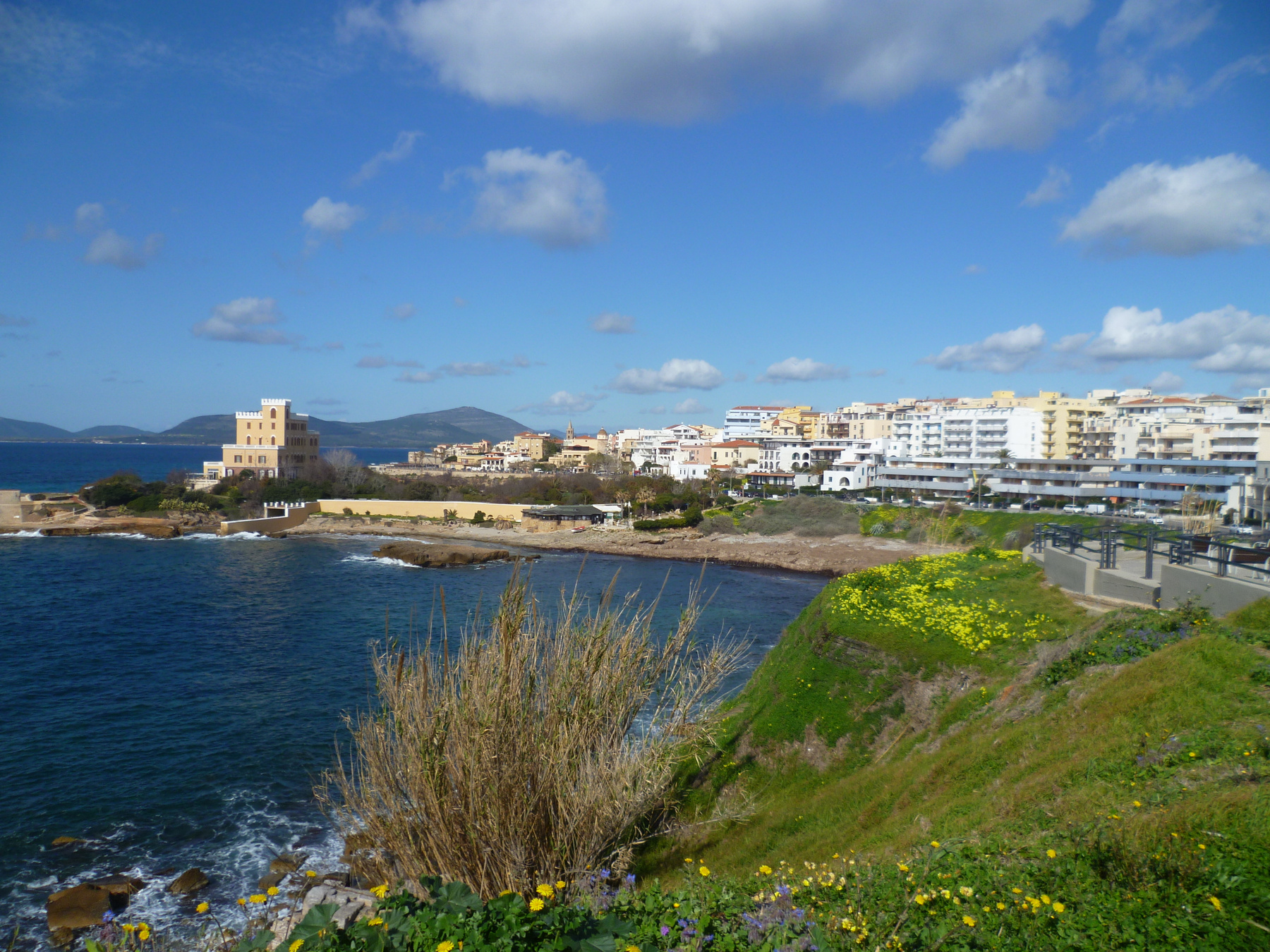 Февраль, все в цвету Сардиния Альгеро февраль цветы море облака