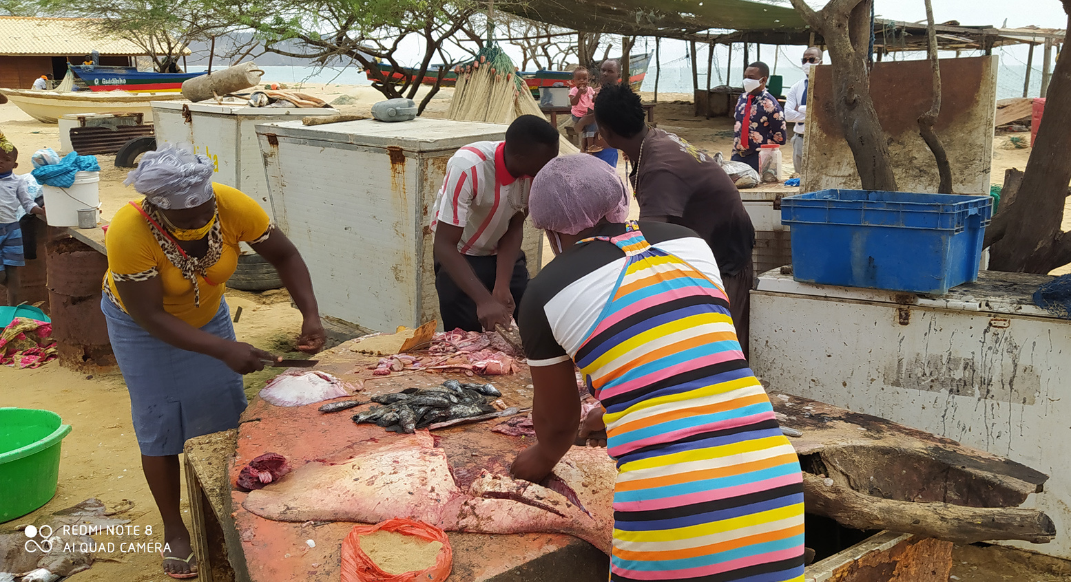"цех" по переработке рыбы Африка африканцы рыба