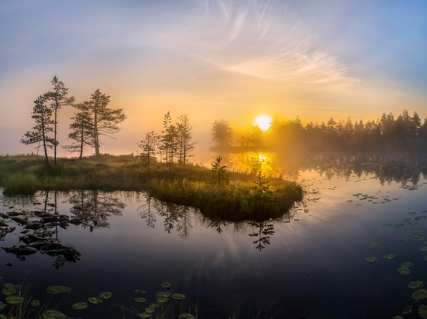 Полуостров в небе фототур лето Ленинградская область деревья сосна остров озеро рассвет туман солнце отражение облака