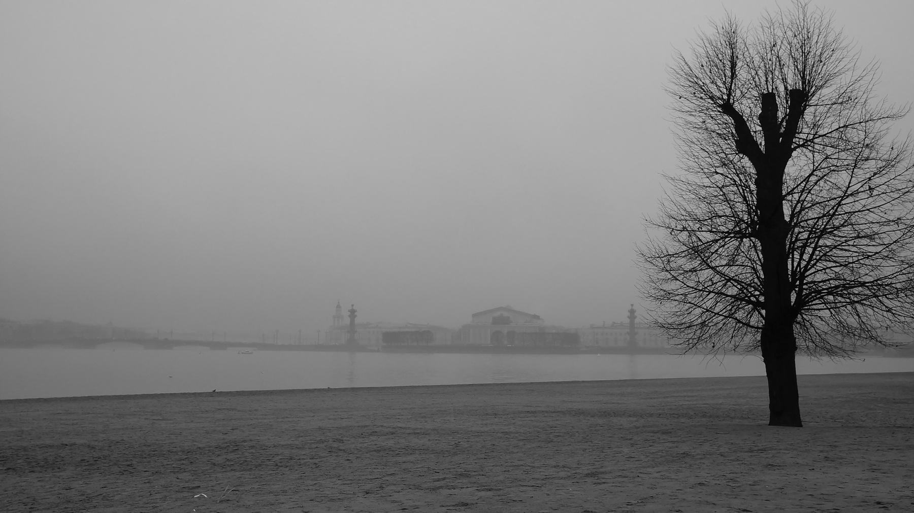 Туман на невских берегах Санкт-Петербург Нева туман осень