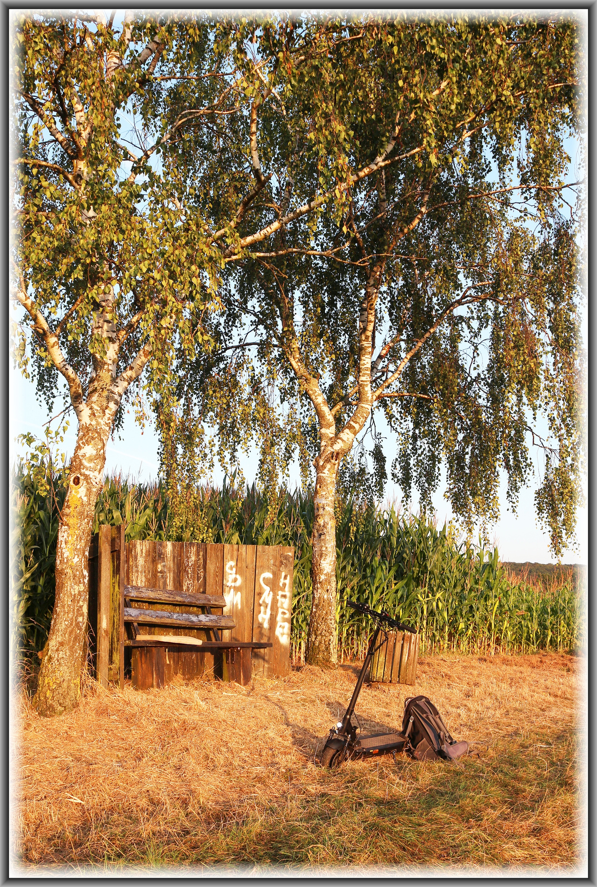 *** Germany nature