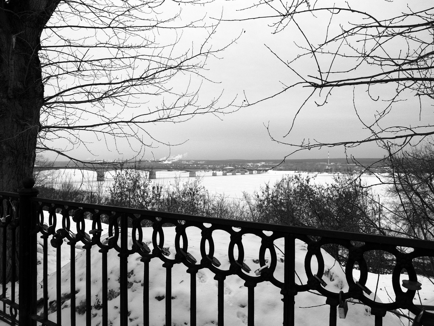 Вид на Каму город Пермь зима Кама Камский мост чугунная ограда ветки снег Шварц