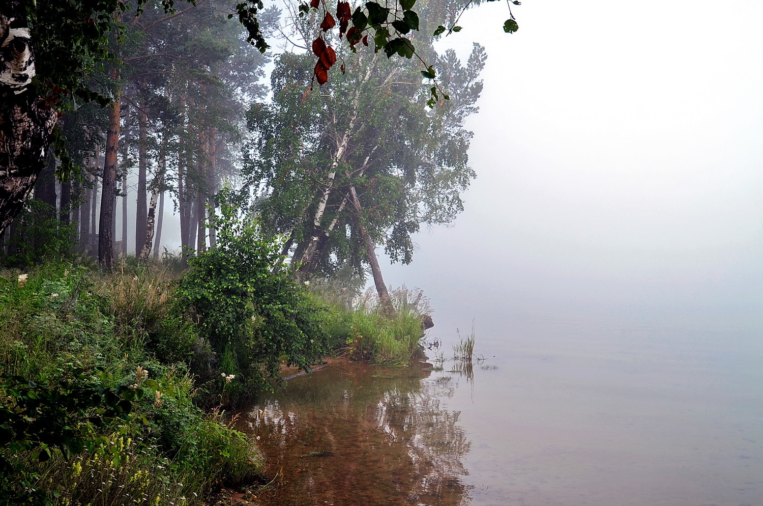 Июльский бережок Иркута река утро туман июль деревья бережок