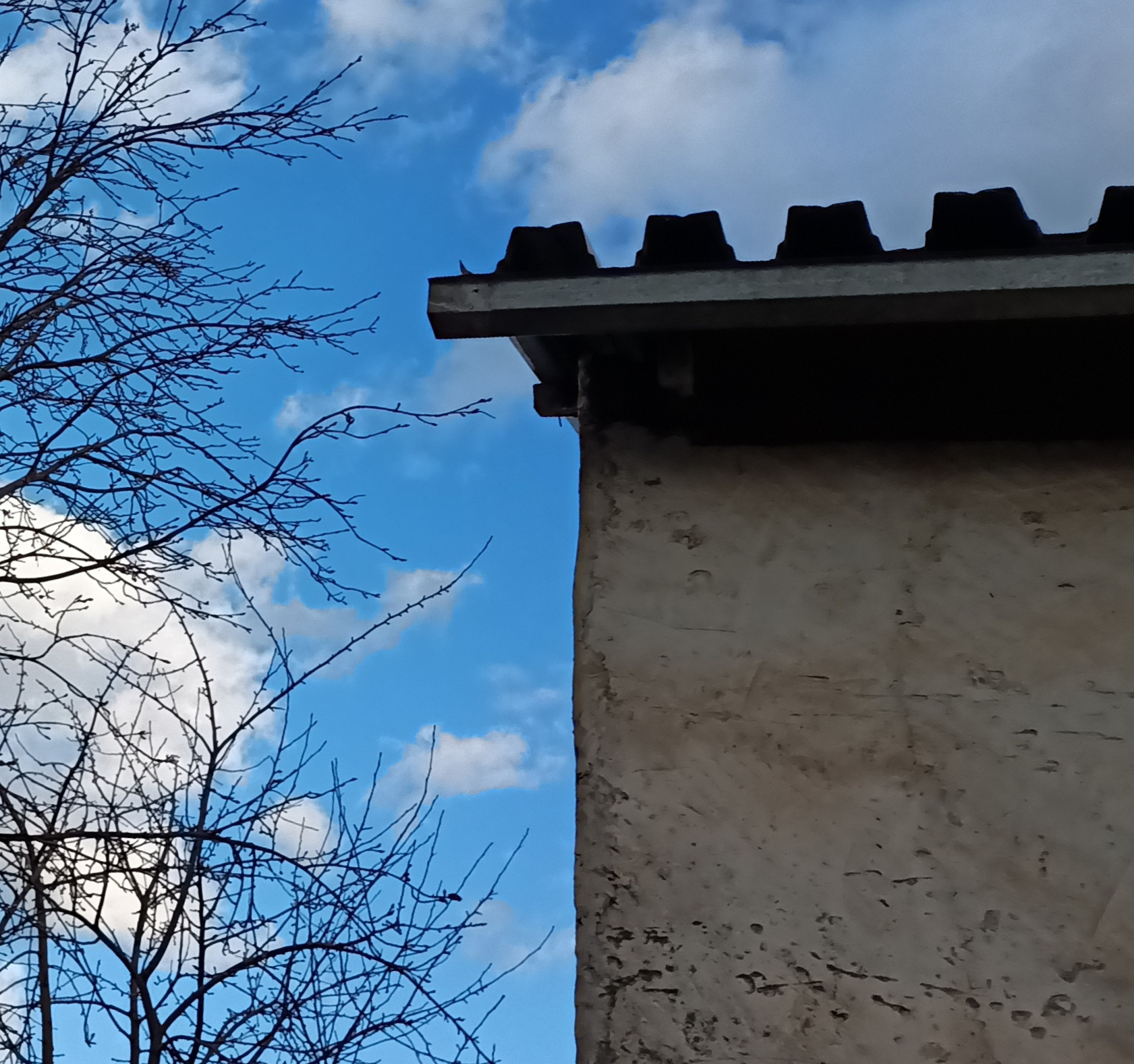 Замок Весна стена крыша дом замок голубое небо белые облака ветви