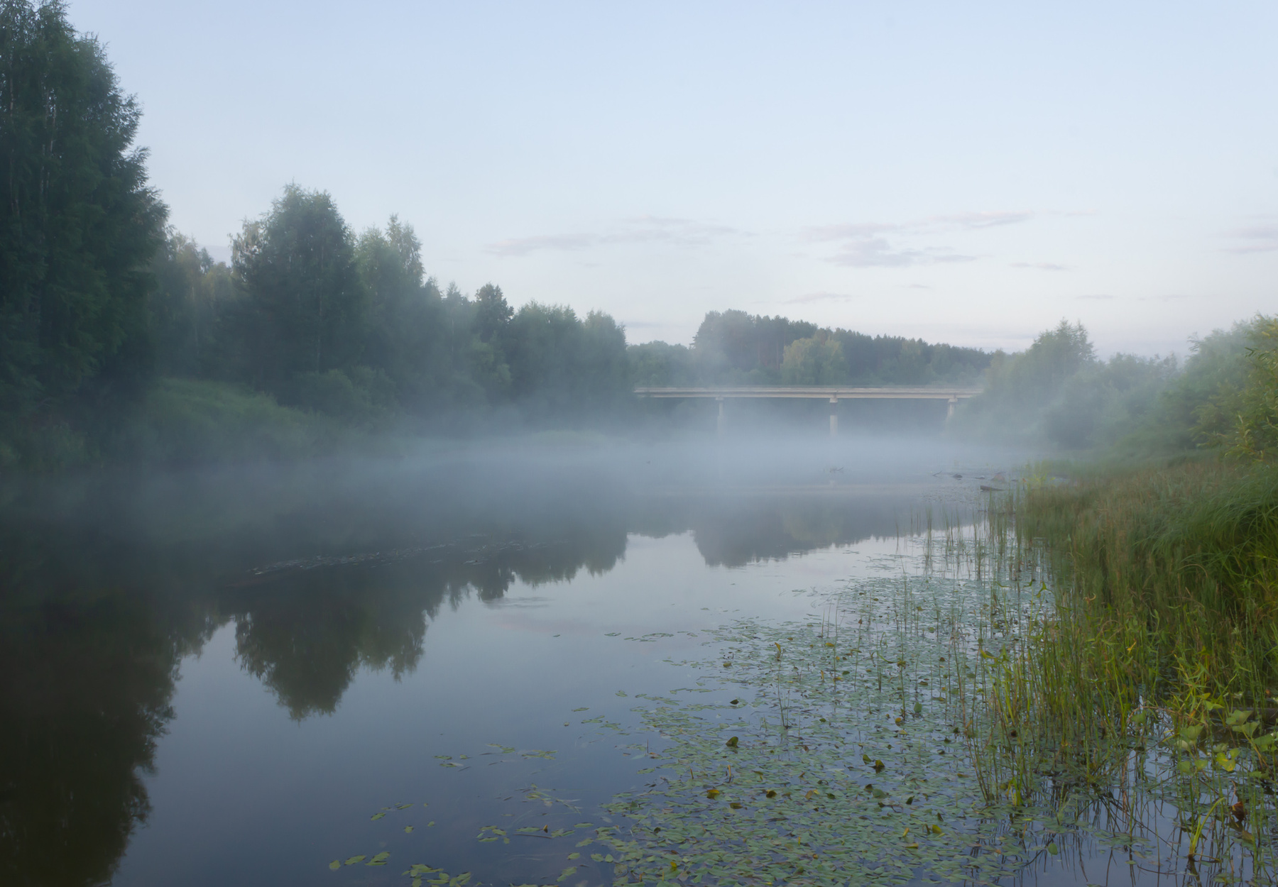 Река и туман туман утро река рассвет