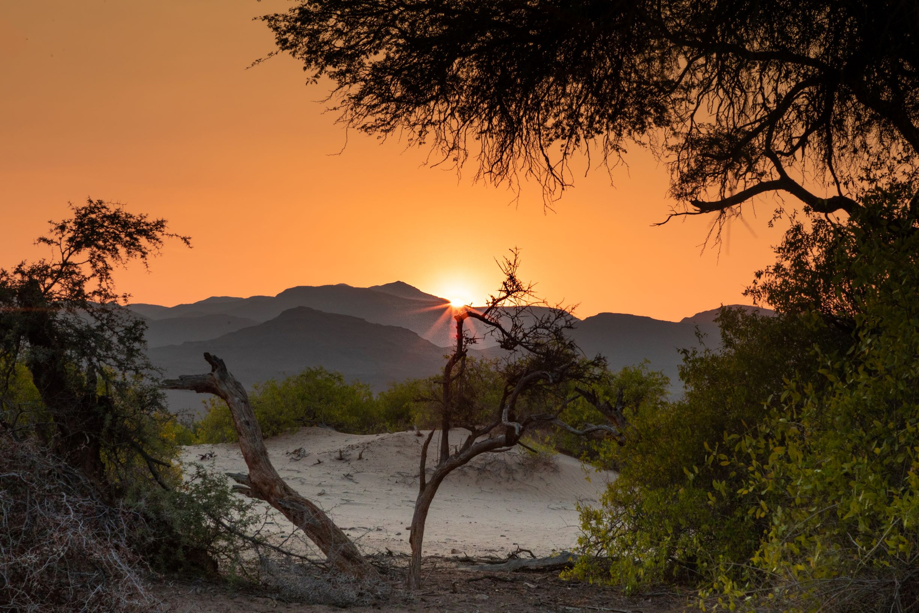 Закат в дюнах африка намибия путешествия сафари