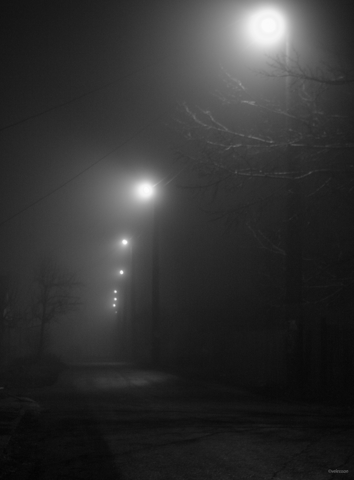 Ночь. Свет фонарей в тумане... 