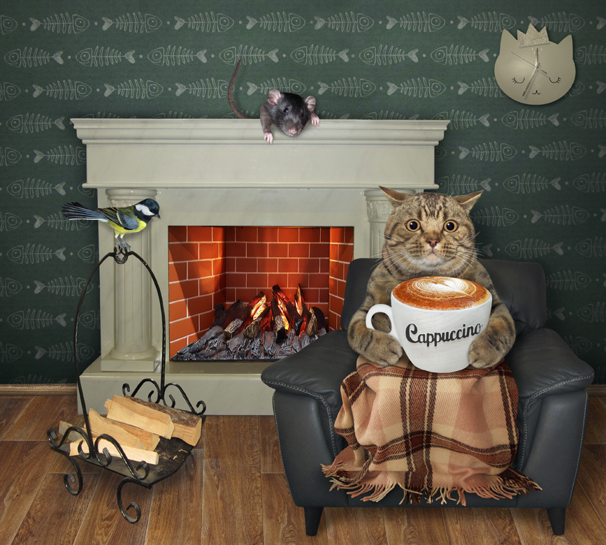 Уютный кот Фунтик юмор уют вечер камин кофе настроение