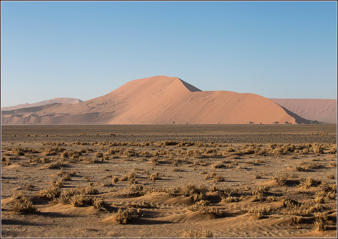 *** Namib desert dune