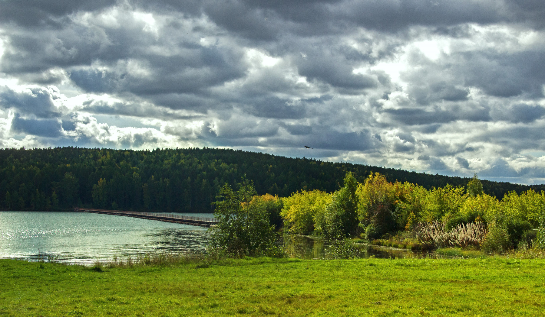 осенняя фоточка россия урал осень природа пейзаж река лес деревья пруд вода мост