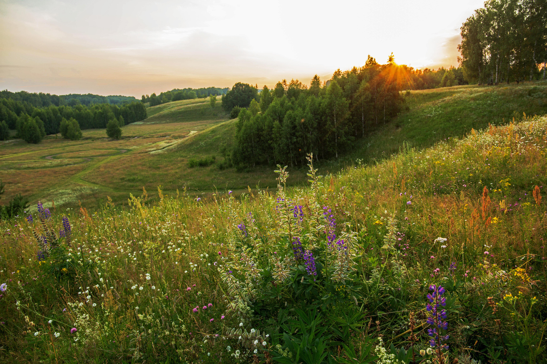 *** природа пейзаж лето вечер закат татарстан новочувашский
