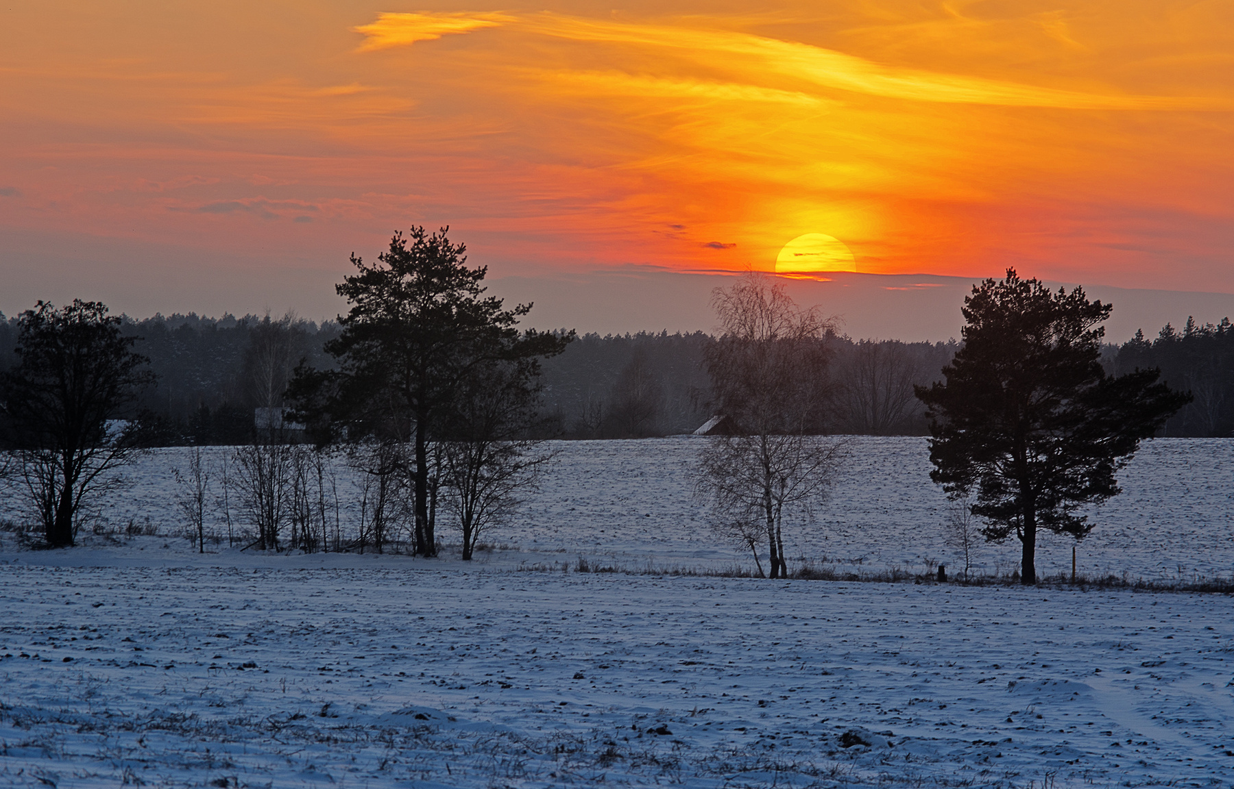 Краски зимнего заката зима поле деревья закат солнце мануальная оптика