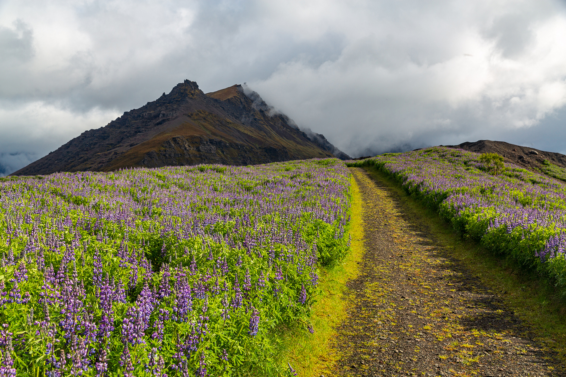 Дорога в горы Iceland