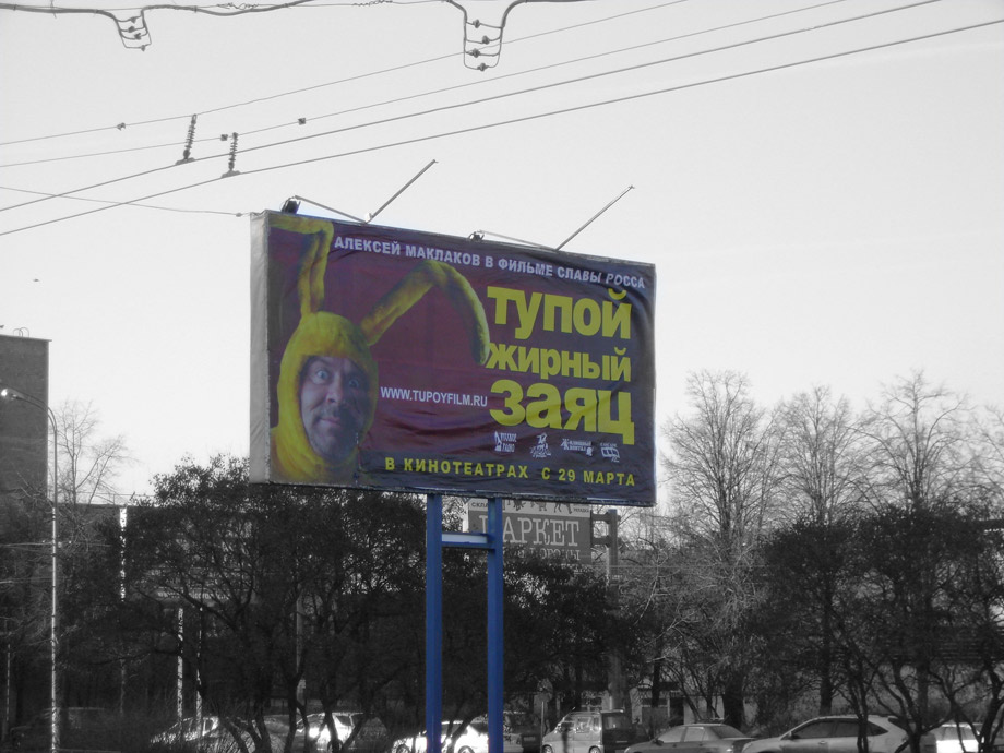 заяц 