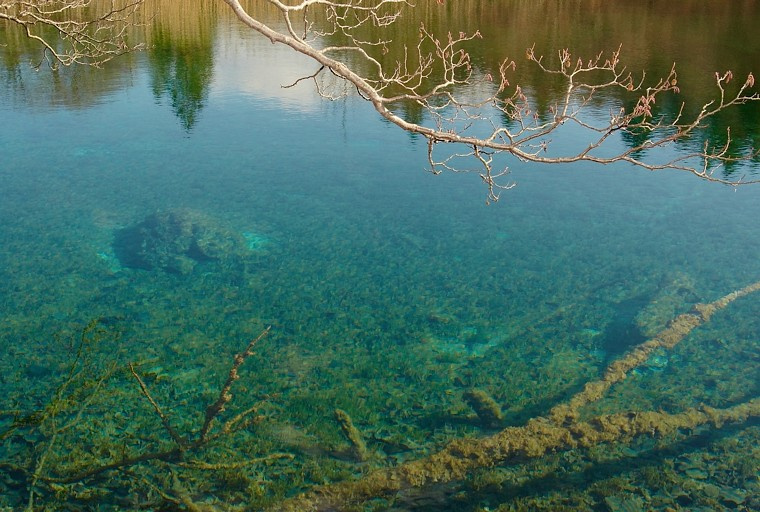 Тишь да гладь... ну очень прозрачная вода