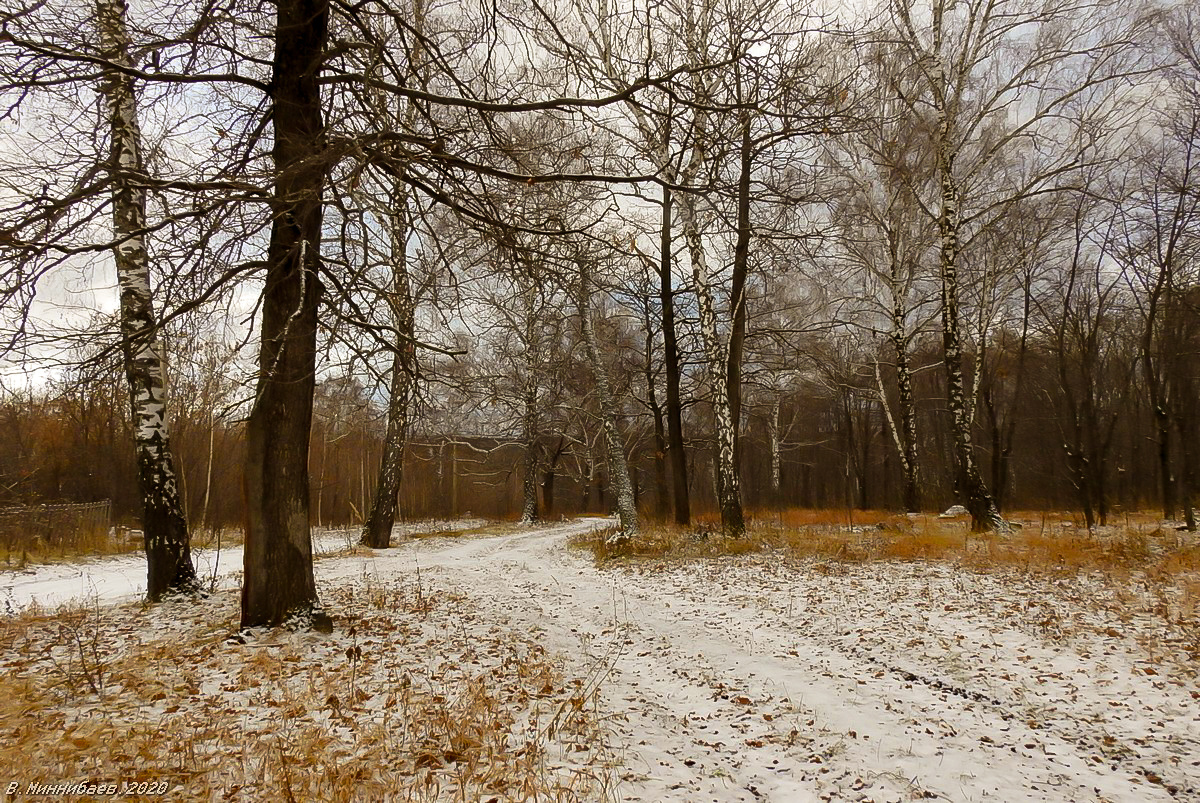 ***Первый снег пейзаж природа осень лес снег
