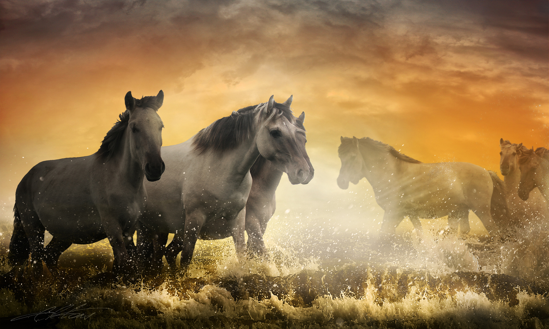 Wild II Digital Photo Art Wild Horses Eltons Fantasies