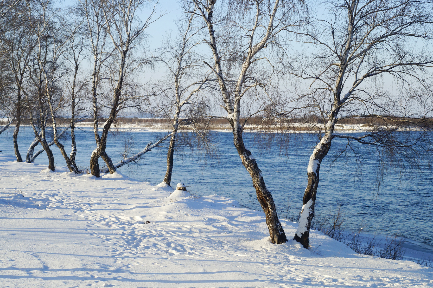 Зимние картинки зима Ангара берег река снег береза