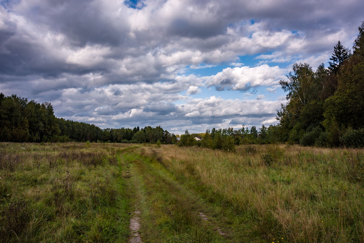 Прошлая осень осень пейзаж природа облака небо лес Россия