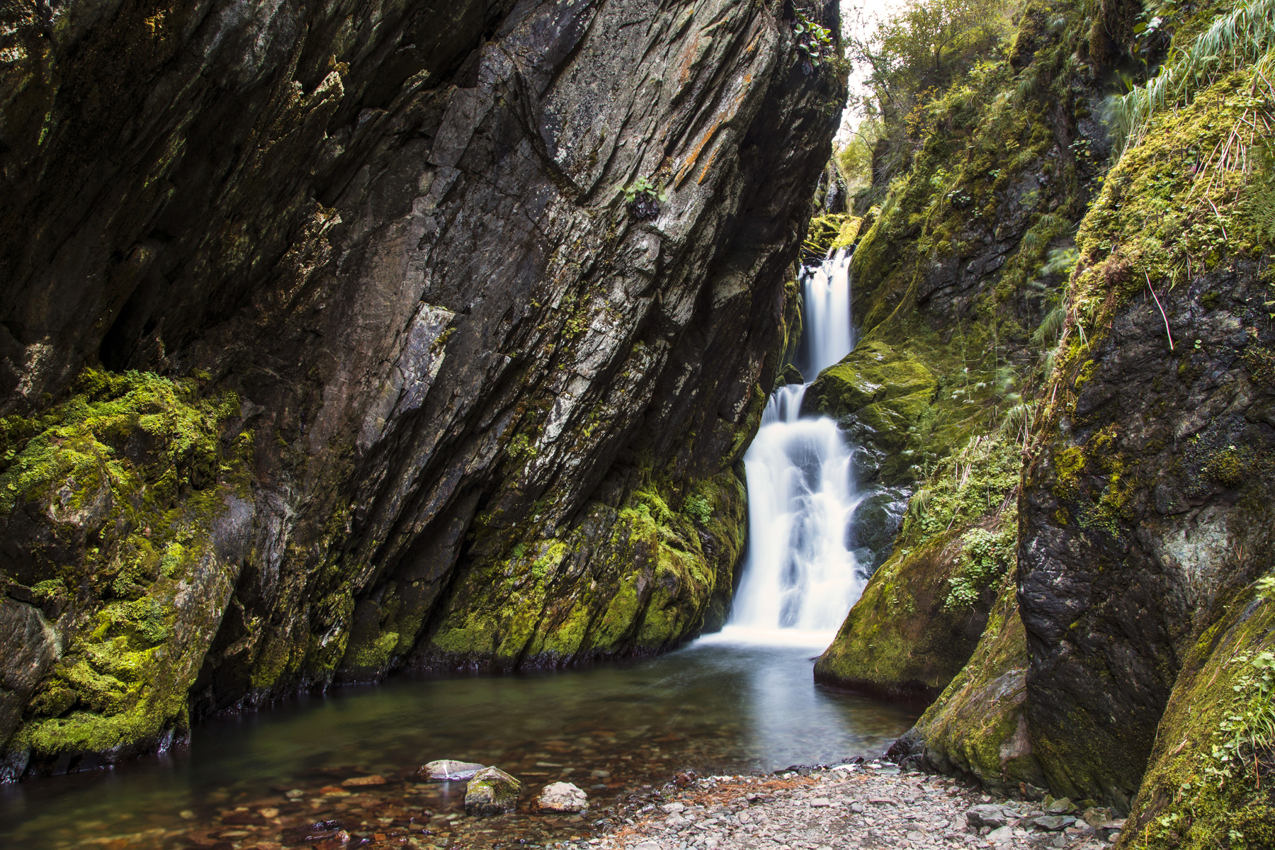 Водопады Алтая Горы водопад река лес зелень трава возвышенность мох скалы