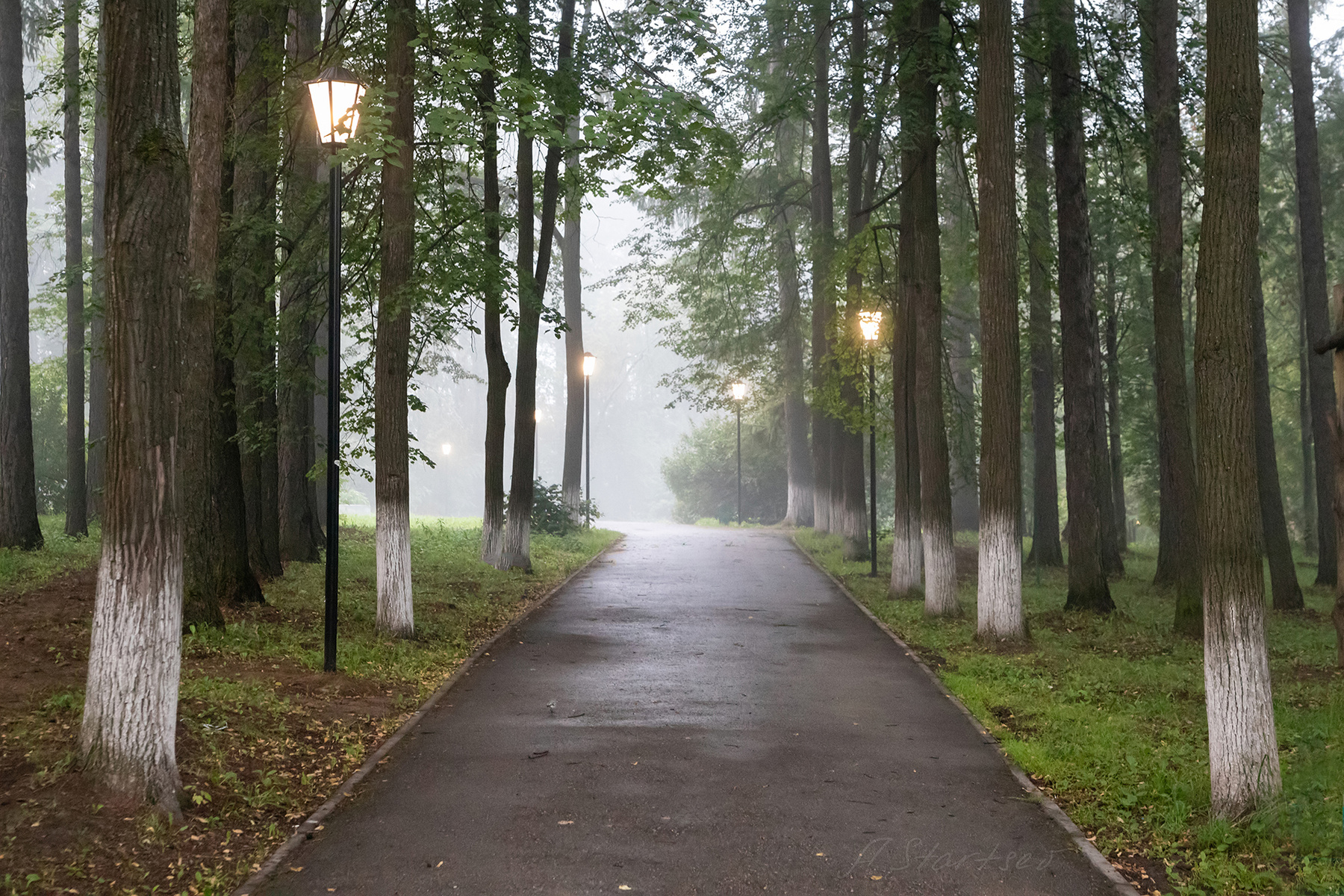 Туманное утро в парке утро Урал туман природа Пермский_край пейзаж парк Лысьва