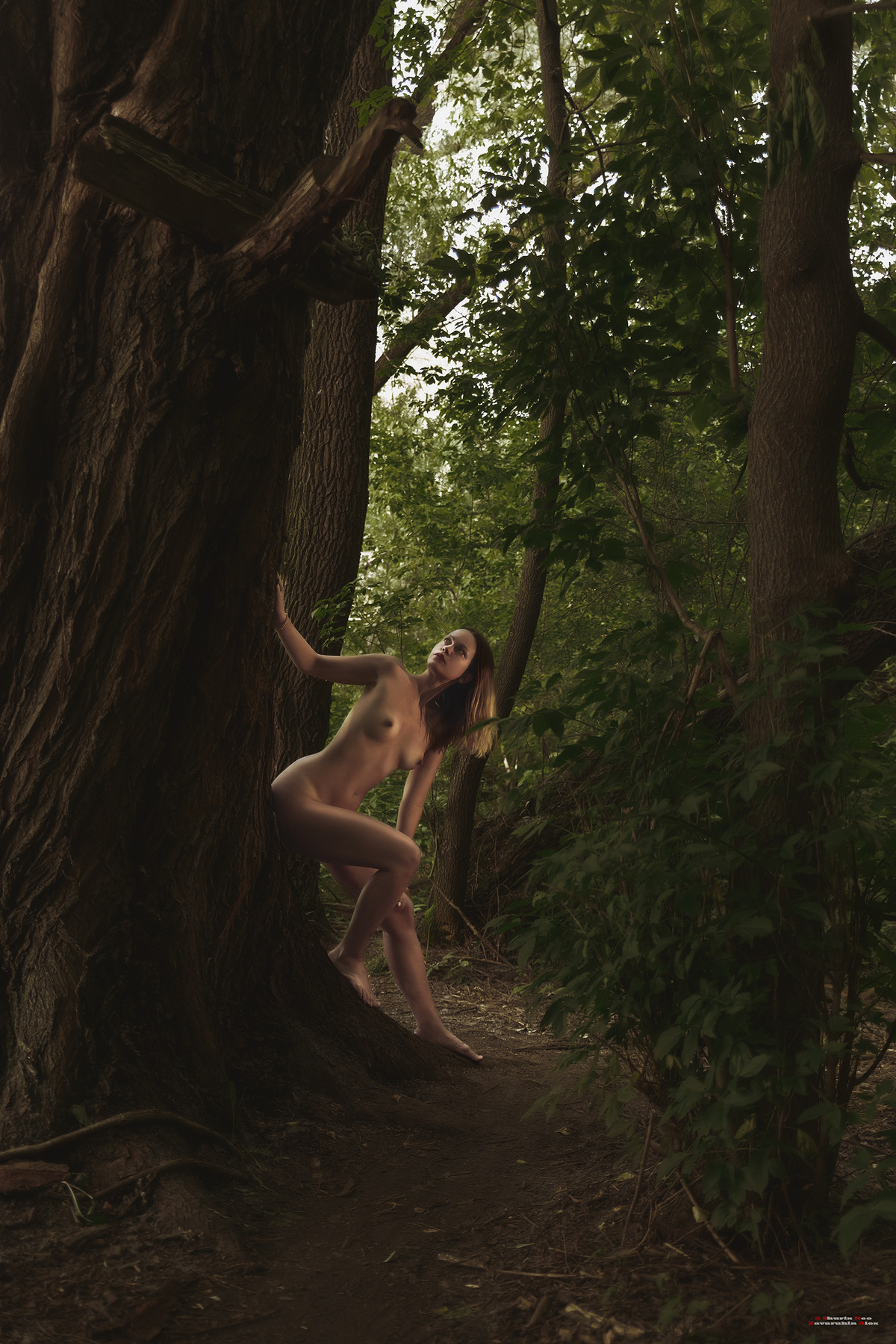 IEVA in the deep forest 