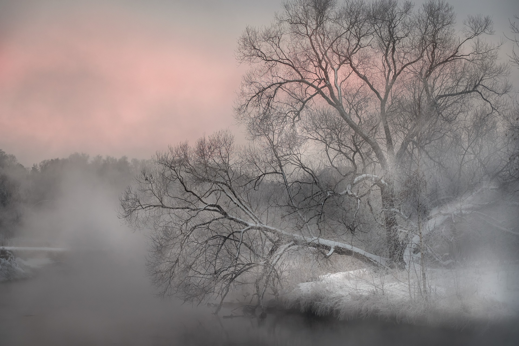 Тепло и холод пейзаж пехорка река пар лед снег туман деревья декабрь утро рассвет
