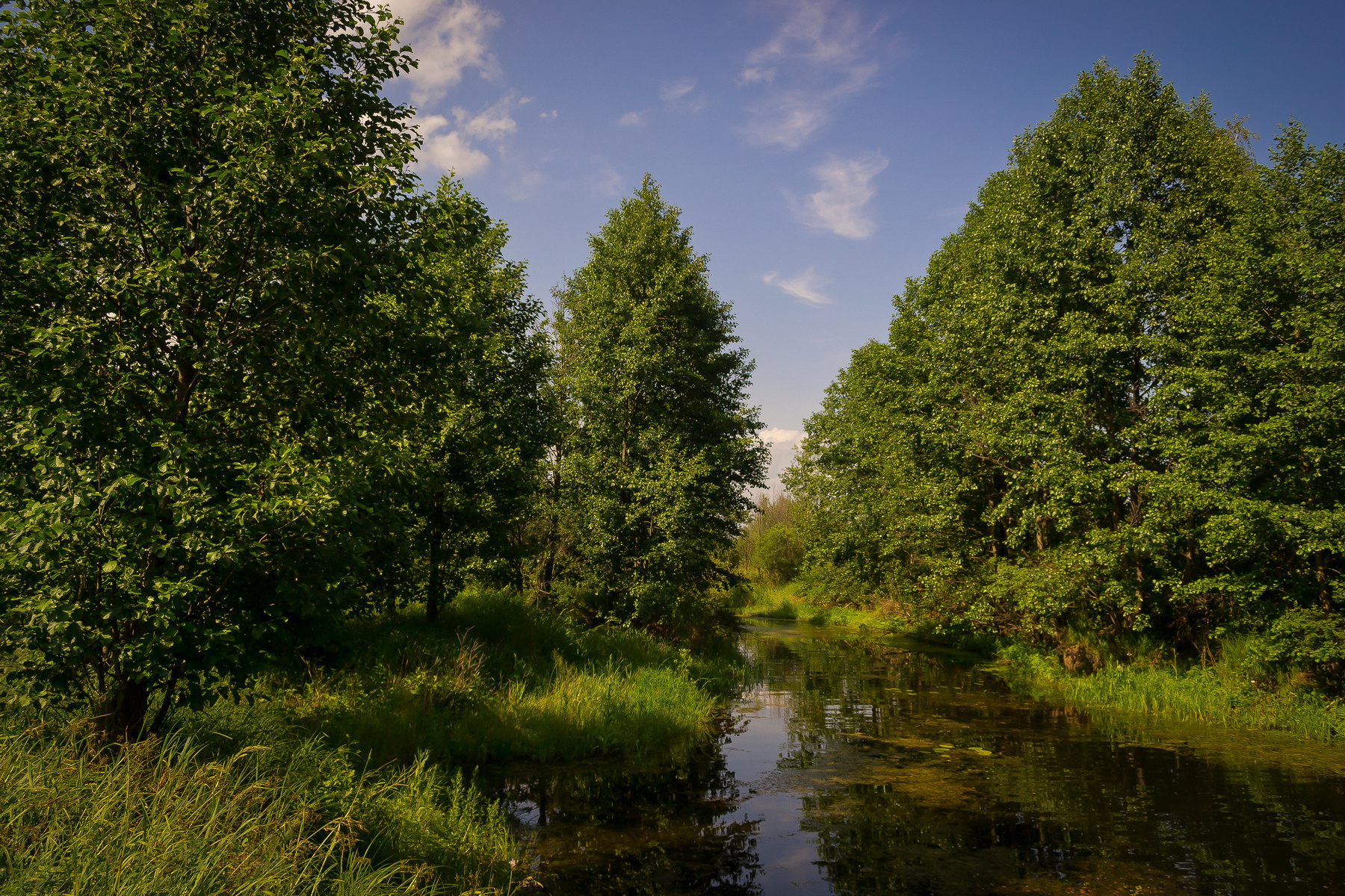 Природа беларуси картинки