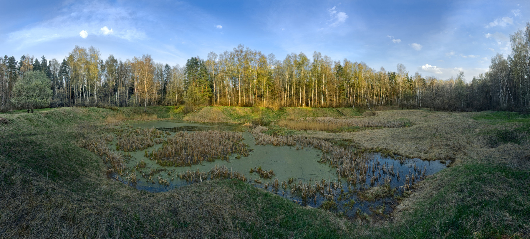 Челябинский школьник устроил «офисную» фотосессию в болоте