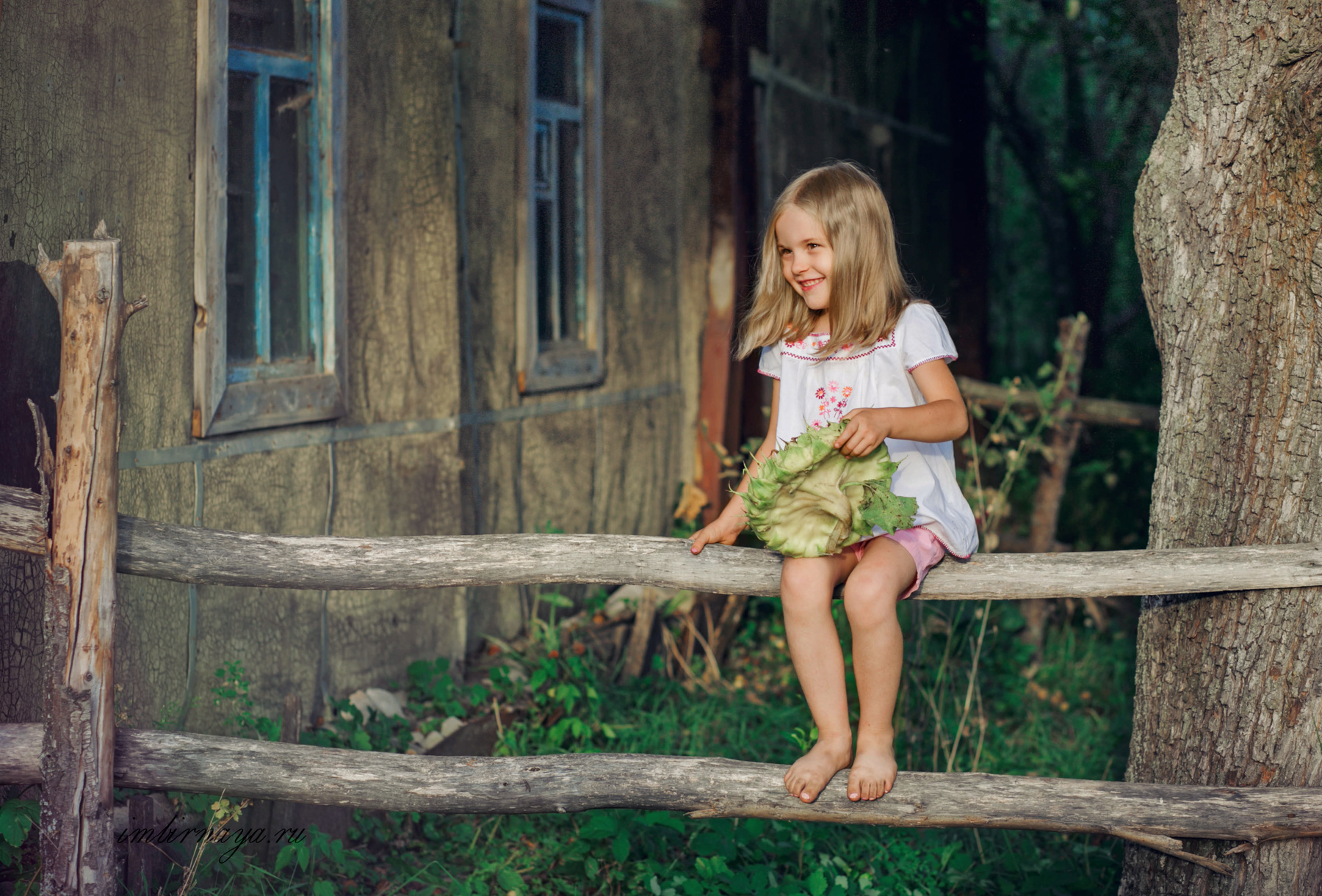 В деревне родина деревня лето Перлевка девочка на заборе подсолнух вкусно