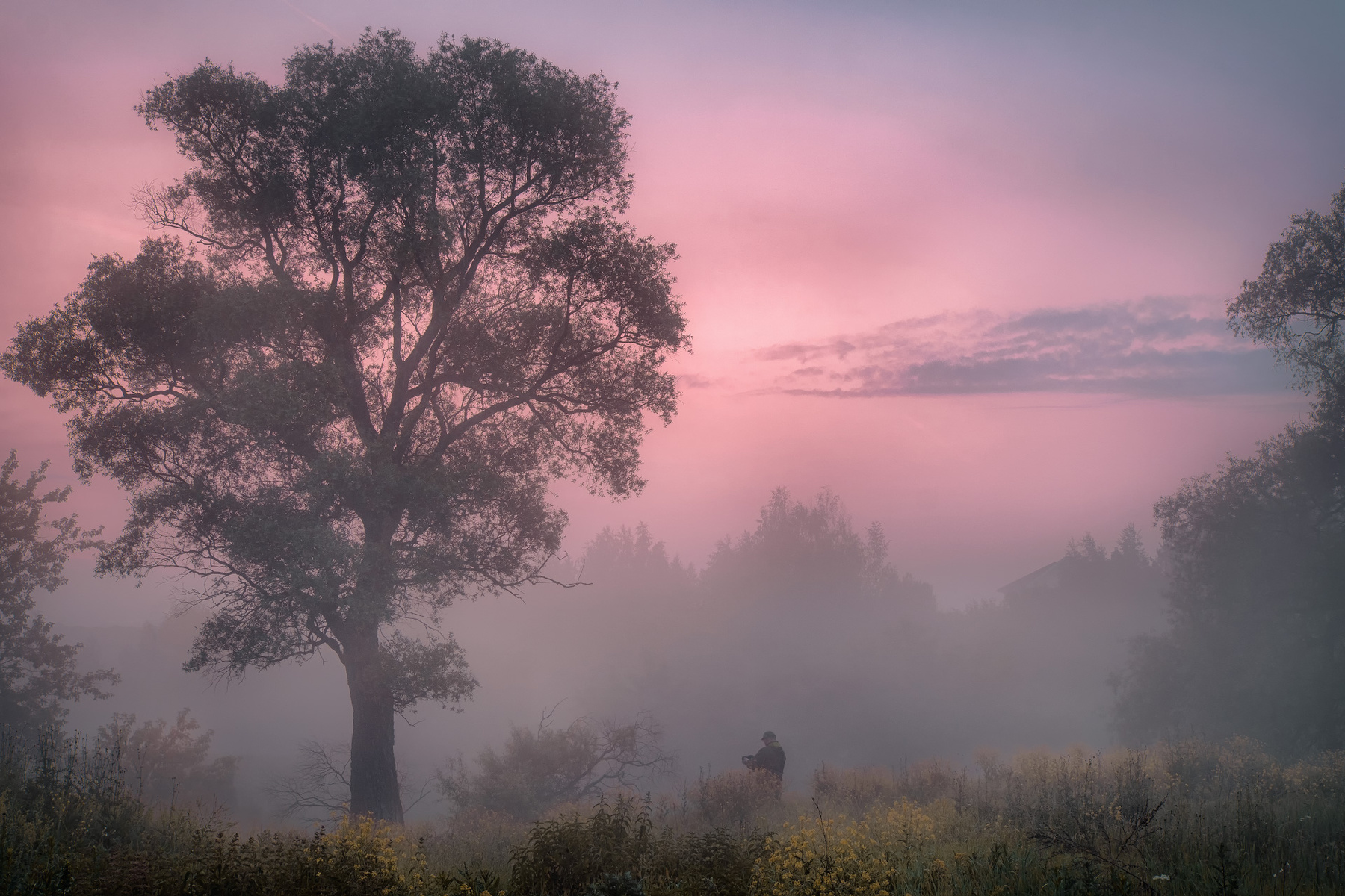 Летнее утро фотографа истра река пейзаж рассвет фотограф небо дерево цветы туман утро