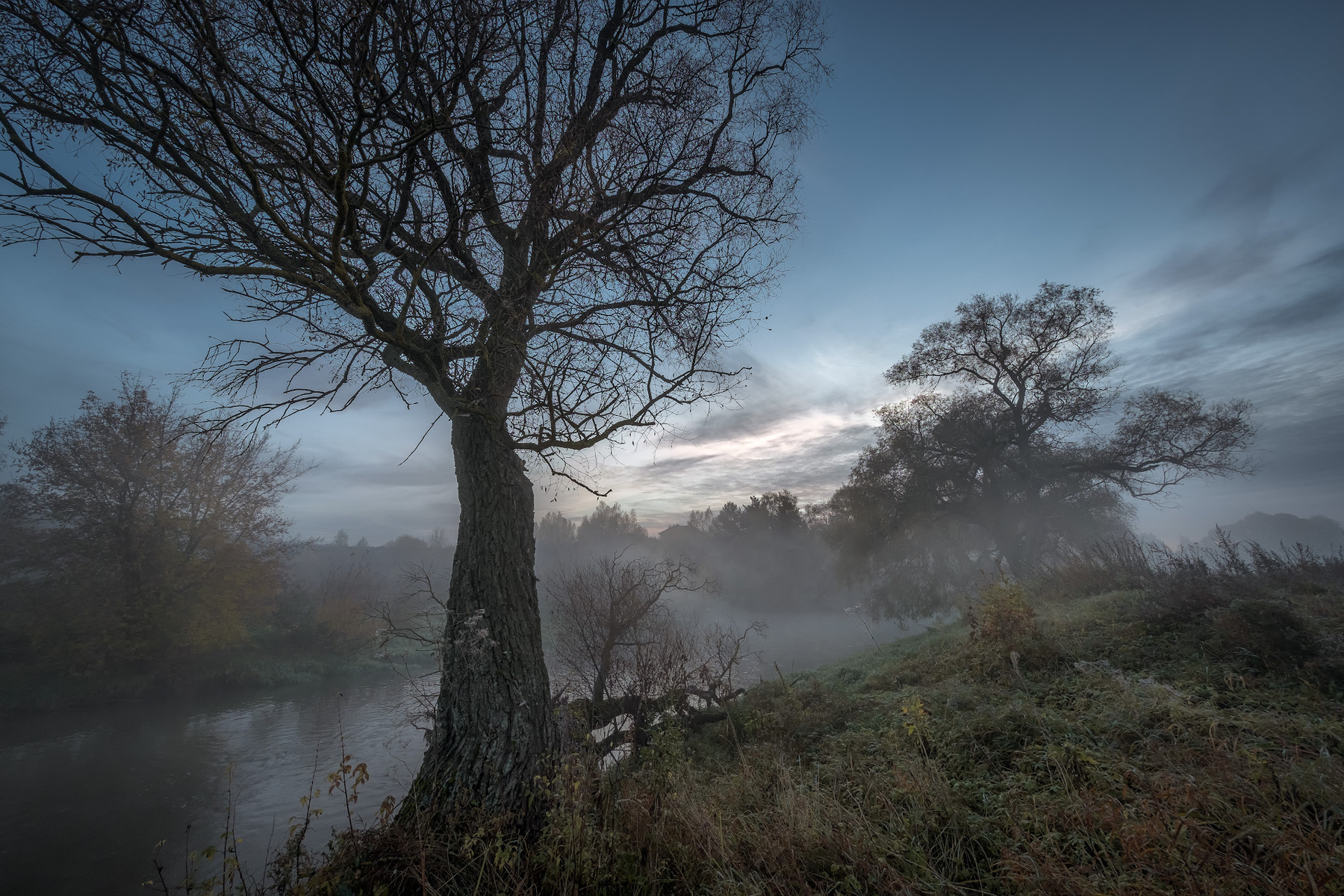 Октябрь в долине Истры истра река деревья гиганты старые утро туман рассвет