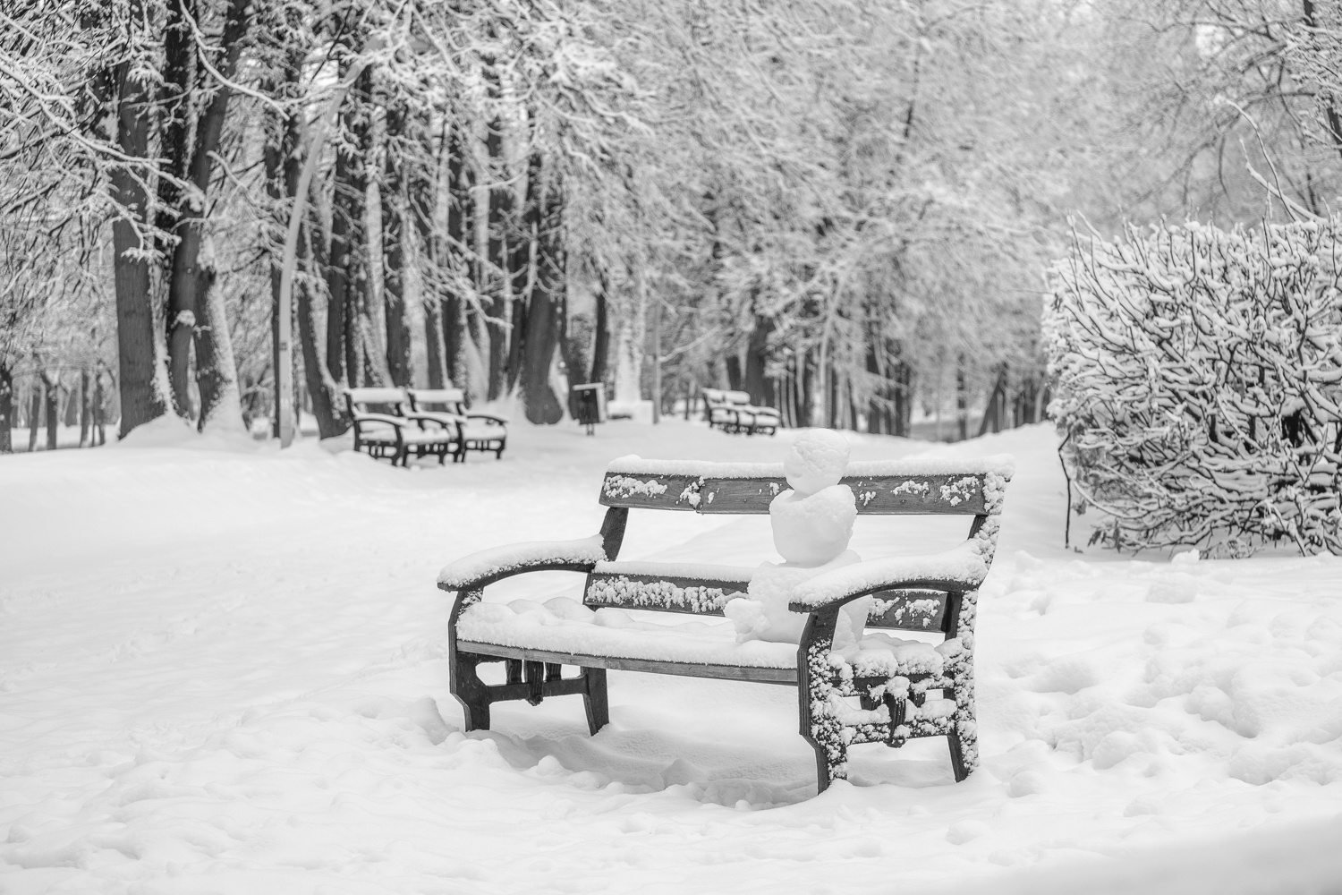 Утро снежного человека город парк Москва утро снег снегопад снеговик