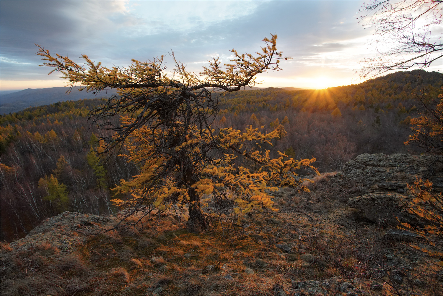 *** осень горы лиственница закат свет башкирия южный урал гора сундук пейзаж природа