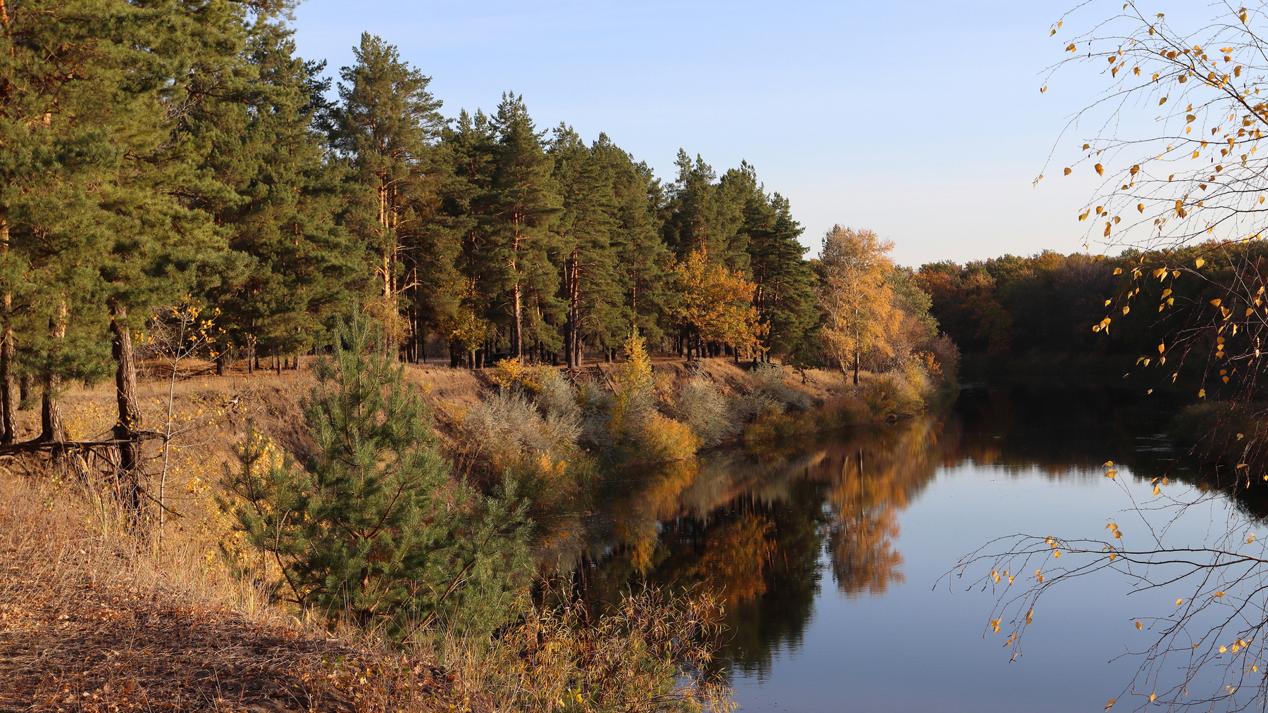 Осень над рекою Осень краски осени осенний пейзаж излучина реки изгиб лес обрыв берег река опушка