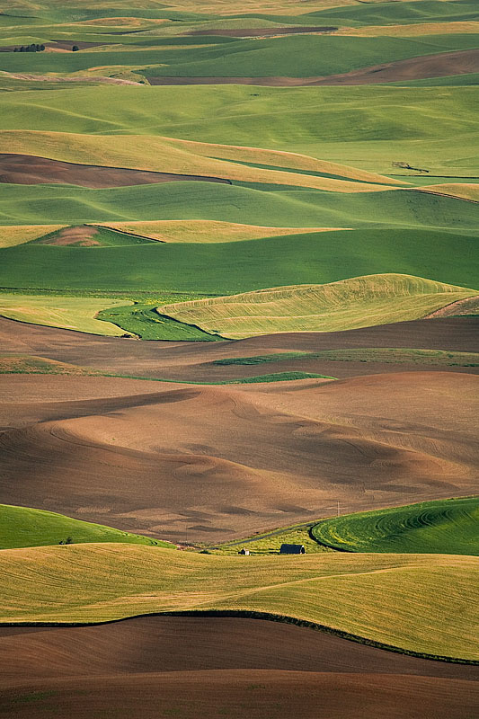 Пейзажная Палитра (Palouse) Palouse,East Washington, Coolfax, Wheat, Fields, grass, USA