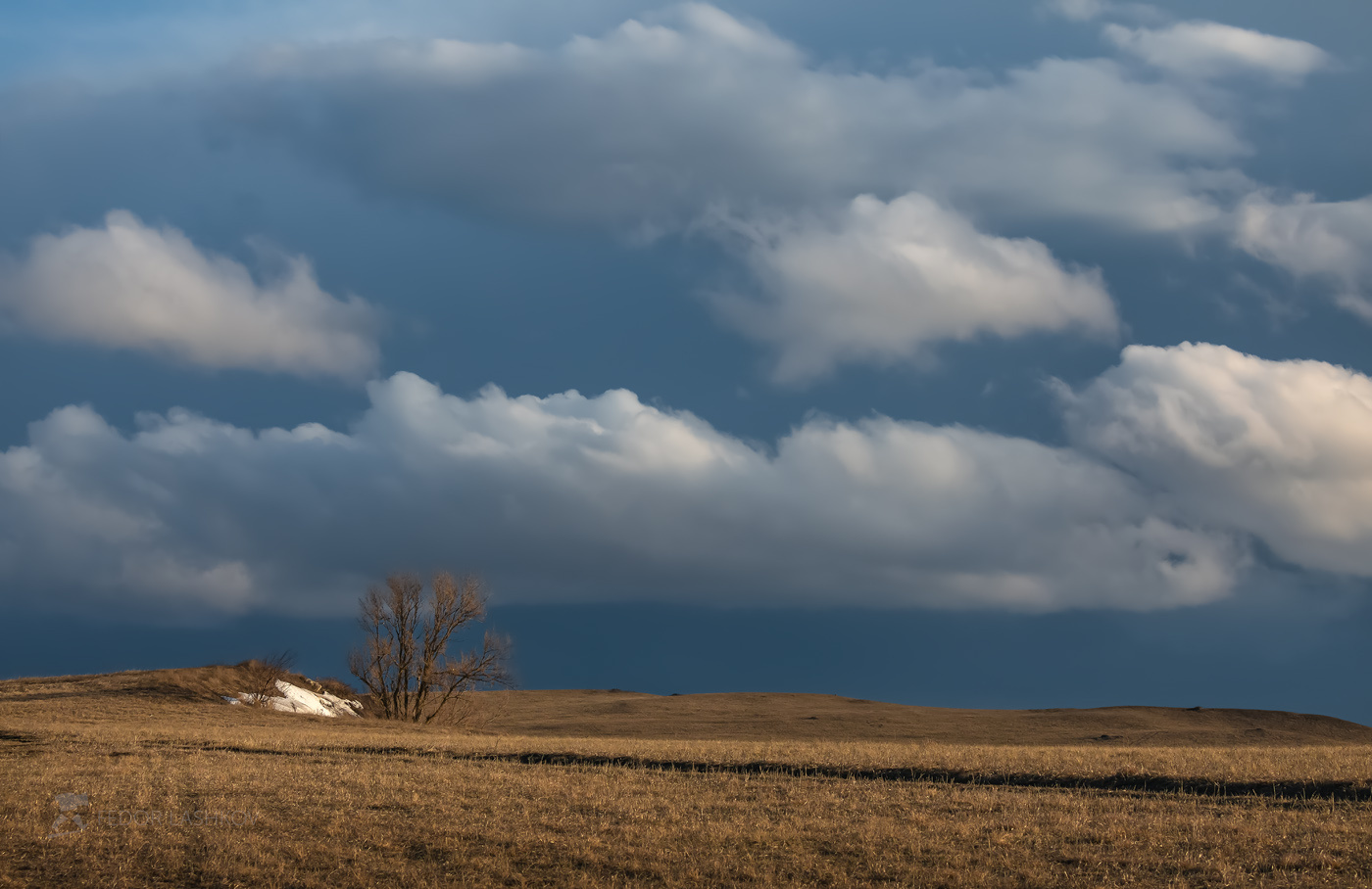 Облачный пейзаж Ставропольский край Ставрополье холм холмистый облака облачность тучи белый атмосфера весна облачно степь степное дерево одно