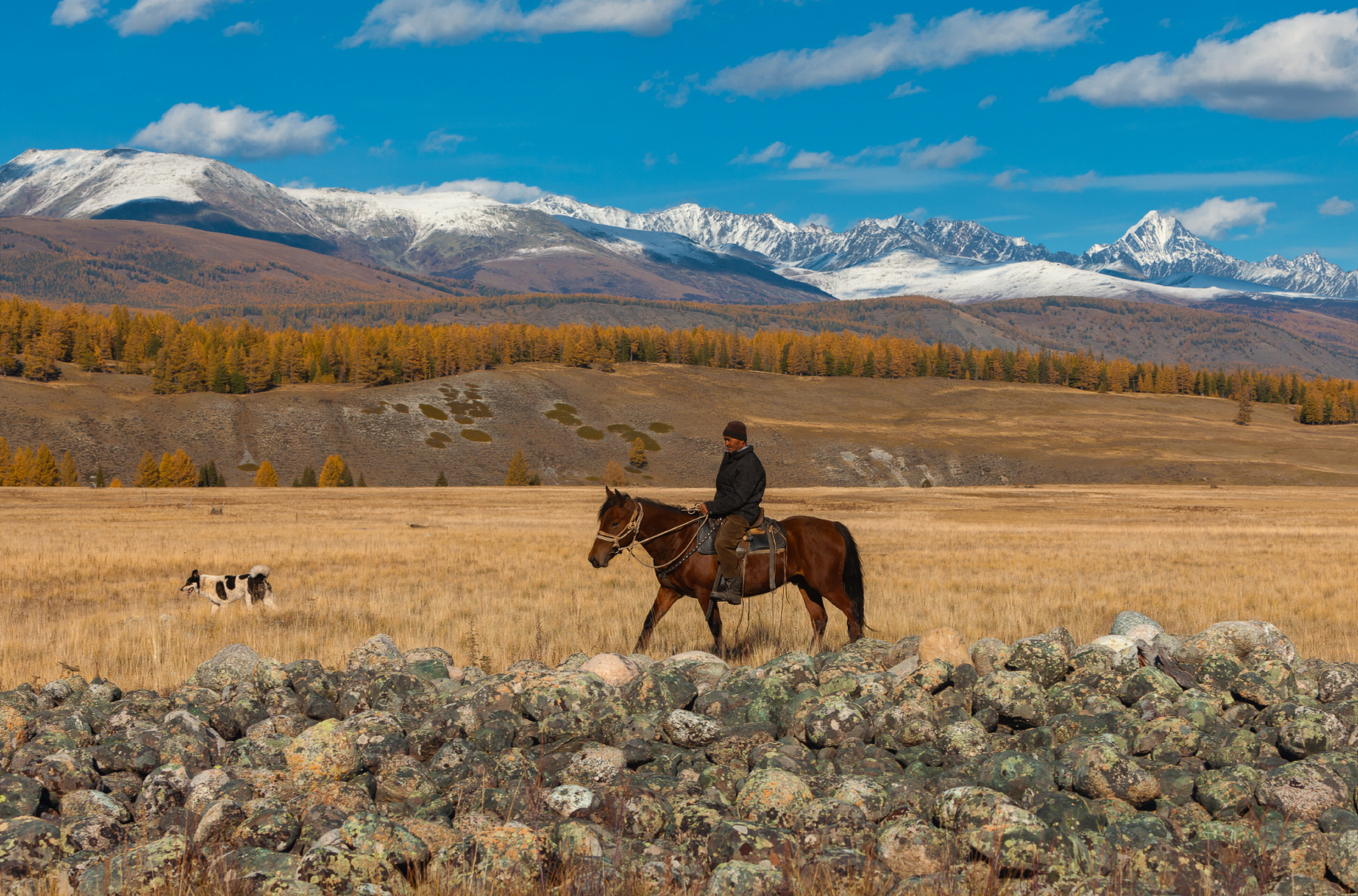 Где-то на Алтае Алтай республика горный горы камни лошадь всадник
