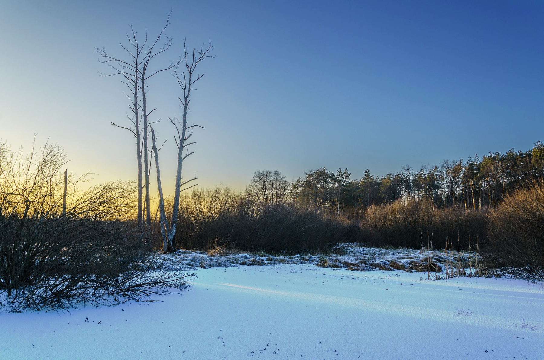 Морозный закат зима мороз закат болото старица пейзаж природа