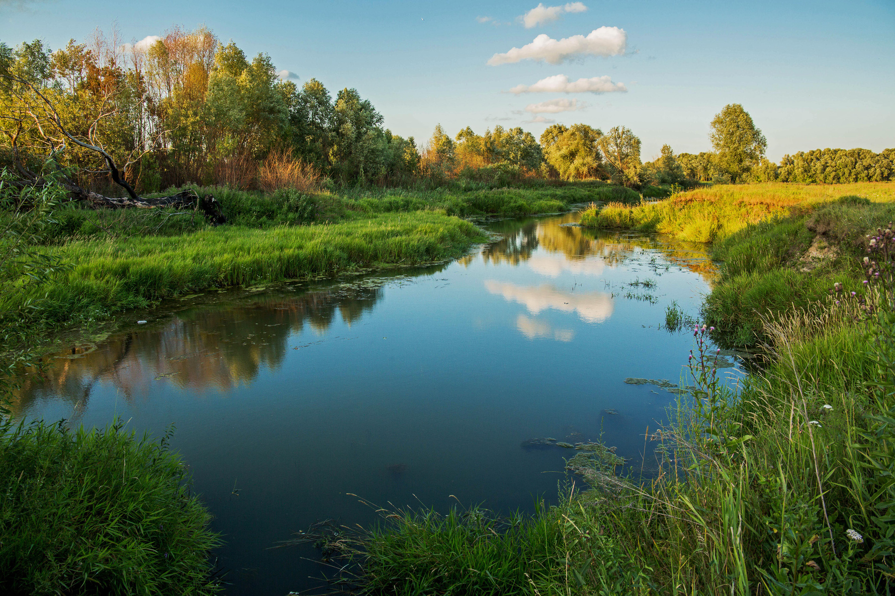 *** природа пейзаж лето татарстан казань пригород река казанка протока