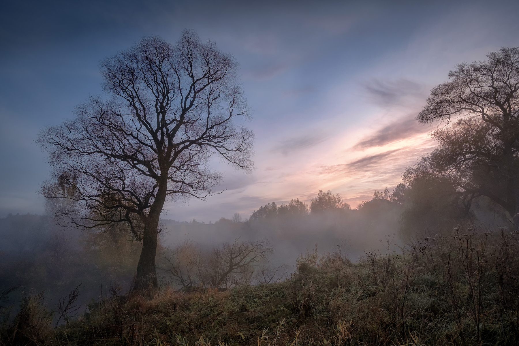 Загадочное осеннее утро туман утро рассвет деревья истра река пейзаж природа осень октябрь