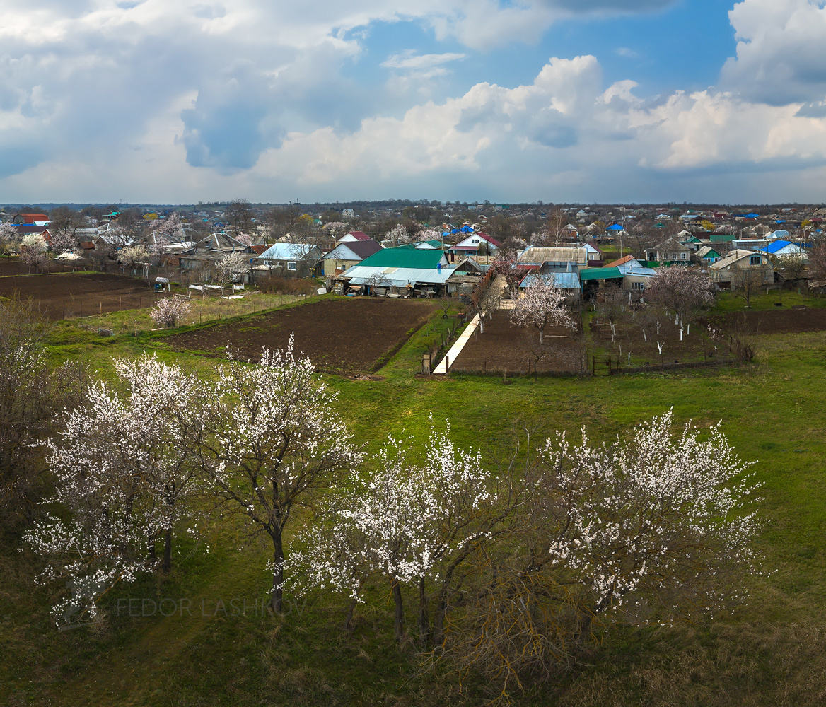 Весна на Ставрополье Ставропольский край Ставрополье весна село дома огород посёлок сельское участок дерево цветущие фруктовое