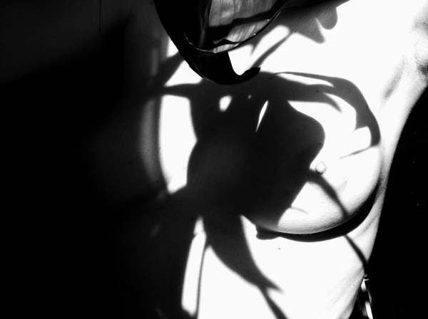 Shadows № 2 (Похищение левой груди) грудь тень